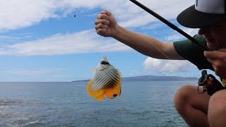 Fishing in Hawaii  Crazy Catches [upl. by Tonjes]