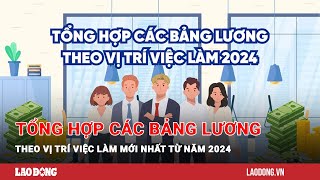 Tổng hợp các bảng lương theo vị trí việc làm mới nhất từ năm 2024  Báo Lao Động [upl. by Arianie]