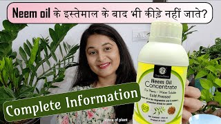 HOW WHEN TO USE NEEM OIL FOR PLANTS नीम आयल MEALYBUGS APHIDS LEAFMINER neemoil plants gardening [upl. by Laughlin]