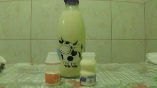 Como fazer YAKULT LITRÃO  RECEITAS POR DEBORA DIAS [upl. by Lraed870]