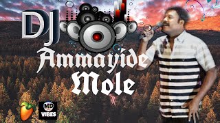 Ammayide Mole njan Malayalam Dj Remix MD VIBES [upl. by Mcloughlin89]