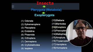 SURVEY OF INSECTSPTERYGOTAEXOPTERYGOTA [upl. by Wiersma]