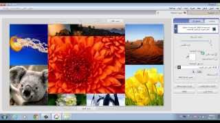 شرح مبسط لبرنامج Picasa 3 [upl. by Ymassej]