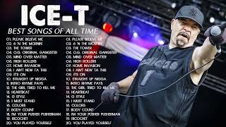 Ice T Greatest Hits Full Album  Best Songs Of Ice T Playlist 2022 [upl. by Aynotak]