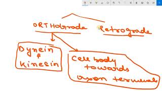 AXONAL TRANSPORT  ORTHOGRADE AND RETROGADE TRANSPORT [upl. by Hyo]