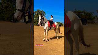 Dhruvi Rambo Horse 🐎 Riding  horse horses ghoda horseriding horselover ytvideo shortsfeed [upl. by Amsirac65]