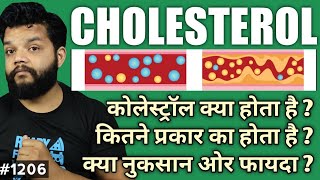 What Is Cholesterol In Hindi  HDL amp LDL Explained [upl. by Cavit528]