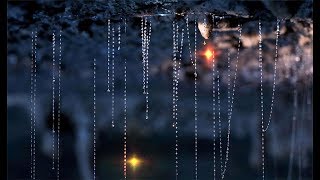 He Spent An Entire Year Photographing A Cave To Capture Glow Worms In Their Natural Habitat [upl. by Anav]