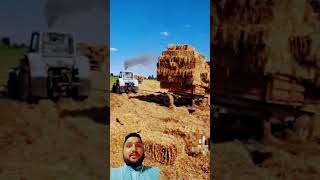 JCB automobile machine shorts trending viralvideo [upl. by Erbua]