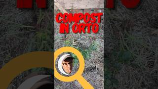 Il potere del compost segreto di un orto rigoglioso [upl. by Hentrich589]