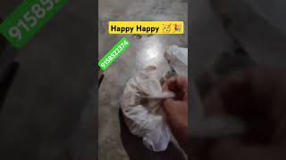 Happy Happy Thanks for Sharing 🥳🎉 shorts asmr unboxing slateitems stock [upl. by Tnecnivleahcim997]