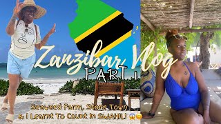 😍🏝️ ZANZIBAR VLOG pt1 ACCOMMODATION LEARN SWAHILI  SEAWEED FARM  STONE TOWN [upl. by Idona]