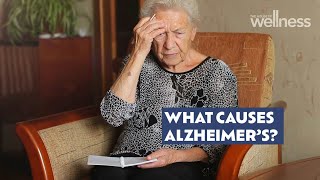 Can Alzheimer’s Disease be prevented [upl. by Hadias]