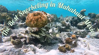 The Best beach for Snorkeling in Mahahual Costa Maya Mexico [upl. by Melnick]