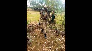 ፋኖ ፍኖfano amhara 1አማራ military ድል today [upl. by Nyvrem]