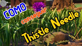 💐Como conseguir thistle needle en grounded aguja de cardo🏹 [upl. by Sperling]