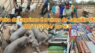 Feira de Caprinos é o vinos de Jataúba PE 08112024 parte 2 [upl. by Domini]