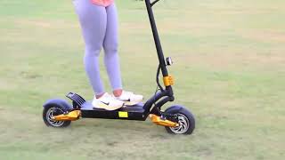 Best Electric Scooter of 2024 WAS TOO FAST  LEOOUT SX10 E Scooter Review [upl. by Llerol]