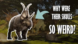 Everything you need to know about Ceratopsians [upl. by Ailedamla]