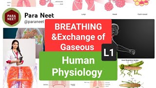 Breathing Exchange of gases Lecture 1 [upl. by Hiltner]