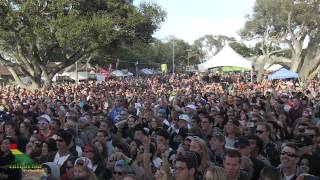 The Green  Never  Ft New Kingston Live  2013 California Roots [upl. by Searle]