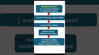 Myasthenia Gravis [upl. by Eldoree]