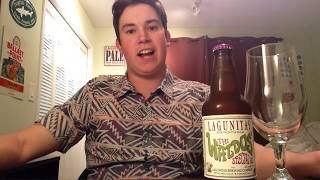 Lagunitas Brewing Company  The Waldos Special Ale Triple IPA Review 2019 ONE HITTER SERIES [upl. by Nollad772]