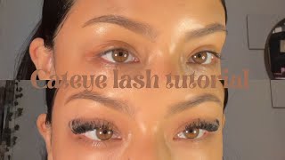 The Perfect Eyelash Tutorial for Almond Eyes [upl. by Nosnirb]