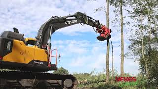 Cirkelzaag Bomengrijper  Groeneveldt Grijpers  Ufkes Greentec  Tree Felling [upl. by Ttemme]