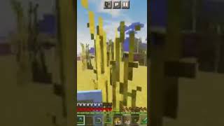 Satisfied minecraft clip minecraft gaming [upl. by Isbella20]