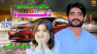 Shahzad Zakhmi 2024  Saakon Qasam Chawa Dhola  Saraiki Song 2024  New Saraiki Song 2024 [upl. by Loux66]