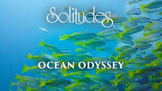 Dan Gibson’s Solitudes  Sea Spirits  Ocean Odyssey [upl. by Eelinej]