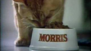 Morris the Cat for 9 Lives 1978 [upl. by Annamaria]