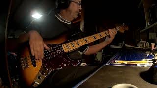 meshell ndegeocello the way bass cover [upl. by Ellekram178]