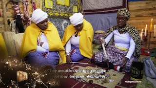 Progress check – Izangoma Zodumo  Mzansi Magic [upl. by Hildegaard]