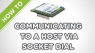 Skywire Development Kit Socket Dial Example [upl. by Enilhtak]