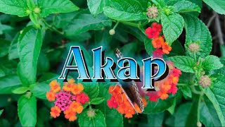 AKAP By IMAGO  JHENYS COVER SONG [upl. by Brian441]