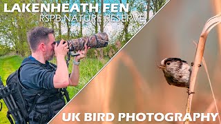 UK Bird Photography at RSPB Lakenheath Fen  Sony A7IV amp Sony FE 200600mm F5663 G OSS [upl. by Pathe21]