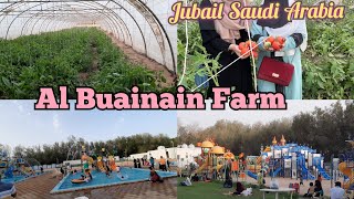 Al buainain farm and resort jubail  Al Buainain Farm Jubail Saudi Arabia  مزارع البوعينين [upl. by Volding586]