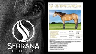 Lote 12  DOC TIMES OLENA CHN [upl. by Anierdna]