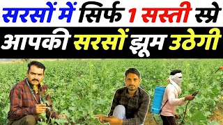 सरसों की खेती कब और कैसे करें  sarso ki kheti karne ka tarika  sarso ki kheti ki puri jankari [upl. by Alauqahs]