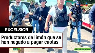 Crimen organizado corta árboles de limoneros en Michoacán [upl. by Ailimaj785]