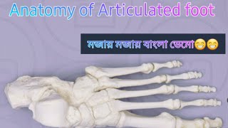 Articulated Foot Anatomy Bangla [upl. by Dimah]