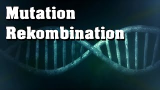 Evolution Mutation Rekombination genetische Variabilität [upl. by Oniskey57]