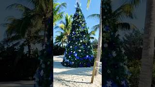 Daily Cruise Compass A Royal Christmas•Coco Cay•Anthem Of The Seas [upl. by Jinny]