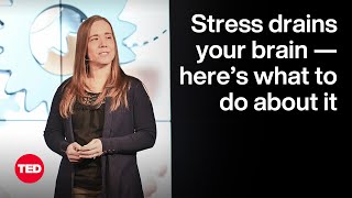 How Stress Drains Your Brain — and What To Do About It  Nicole Byers  TED [upl. by Juana]