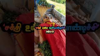 Periyandichi Ammanஅம்மன்Amman vlogsPOWERFULL WOMEN GOD 🙏😱 [upl. by Laney]