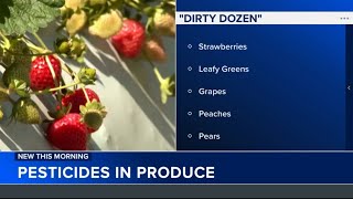 Pesticides in produce 2024 Dirty Dozen and Clean 15 list released [upl. by Elsey563]