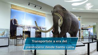 Abre sus puertas el Museo del Mamut visitantes tendrán una experiencia inmersiva [upl. by Elocal]