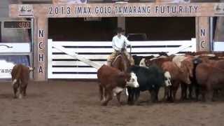 2013 NCHA Youth Cutting Todd Mulcahy amp EBs Phalaris [upl. by Giorgia530]